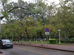 -厦门大学(思明校区)