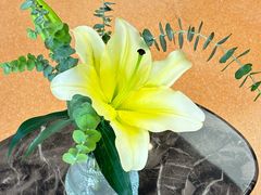 -朱迪小铺.半糖奶油蛋糕(海汇港店)