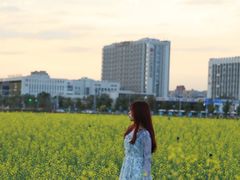 -光明小镇欢乐田园