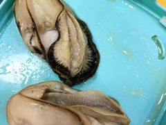 -濠轩阁特色生蚝火锅(水湾路店)