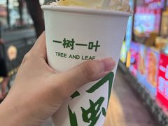 -一树一叶·福建茶档(石鼓路店)