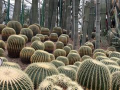 -南山植物园