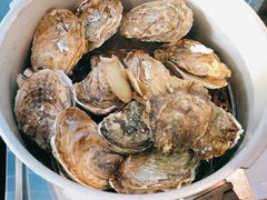 高压锅生蚝中一打-千岛蚝高压锅生蚝·人参火锅(白云万达店)