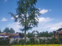 -大兴滨河森林公园