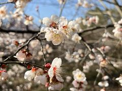 -南京市江宁方山