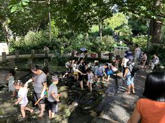 -成都市活水公园