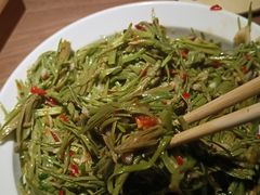 凉拌松针-兮禾酒馆(护国路店)