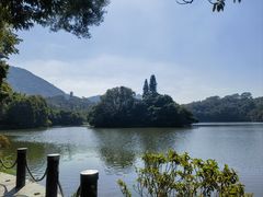 -深圳仙湖植物园