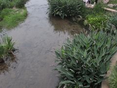 -羊山湖公园