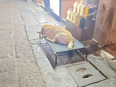 -高淳老街