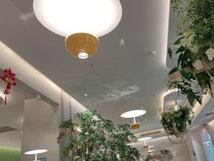 -Aqua Oasis 水天堂(太湖中心mall店)