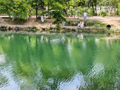 -花溪公园