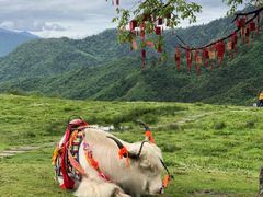 -硗碛藏寨·神木垒景区