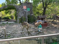 -宁波野生动物园