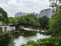 -广西壮族自治区药用植物园