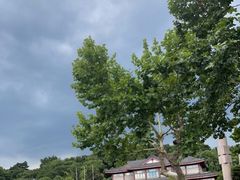 -浙江省博物馆(孤山馆区)