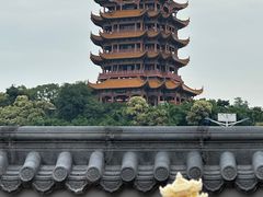 -黄鹤楼公园(黄鹤楼)