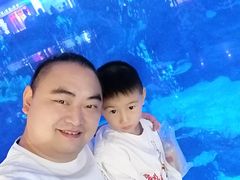 -成都浩海立方海洋公园