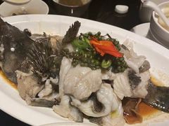 青花椒蒸龙胆鱼-闽和南(深圳万象城店)