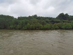 -东寨港红树林旅游区