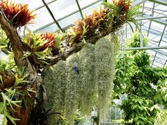 -国家植物园南园