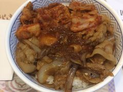 -吉野家(红博中央公园店)