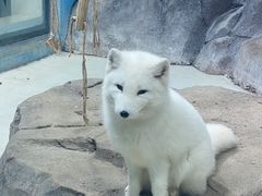 -海合安青岛极地海洋公园