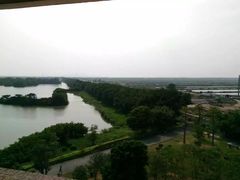 -大湾区中央湿地公园