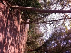 龙坑生态保护区-龙坑生态保护区