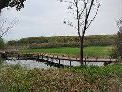 -同里国家湿地公园