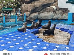 -海合安成都极地海洋公园