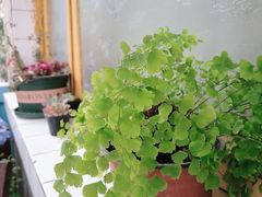 -知物癖(牛王庙店)