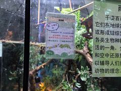 -上海大自然野生昆虫馆(东方明珠·爬宠昆虫探索中心)
