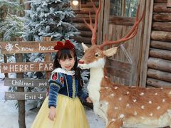 -HERRE·FARM 赫尔露营农场·团建聚会包场