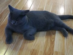 -壹人壹像工作室(购物公园店)