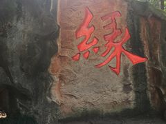 -杭州黄龙洞