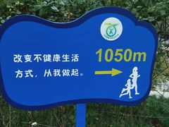 -西安市长乐公园