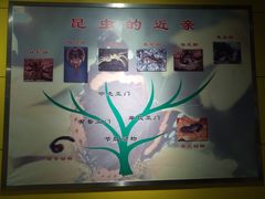 -上海昆虫博物馆