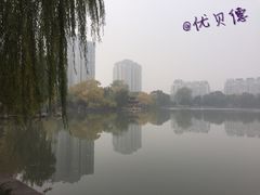-紫竹院公园冰场
