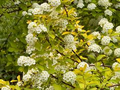 -天津武清北运河郊野公园房车露营地