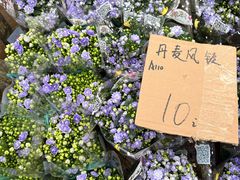 -龙大花卉苗木市场