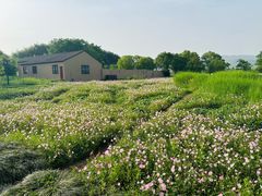 -良渚古城遗址公园