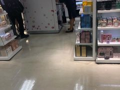 -升恒昌免税商店(台北松山机场店)