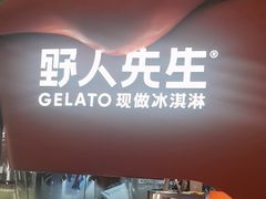 -野人先生现做冰淇淋(北京王府井东方新天地店)