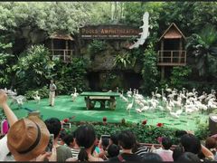 -新加坡飞禽公园
