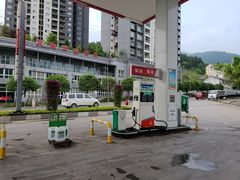 -中国石化加油站(武隆服务区北侧站)