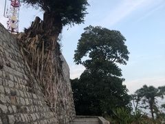 -东望洋炮台东望洋灯塔