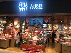 -岭南站NOVA