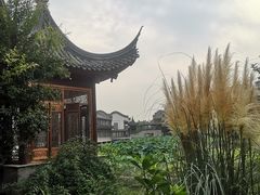 -龙潭水乡
