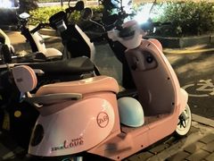 -三亚湾电动车租赁(三亚湾店)